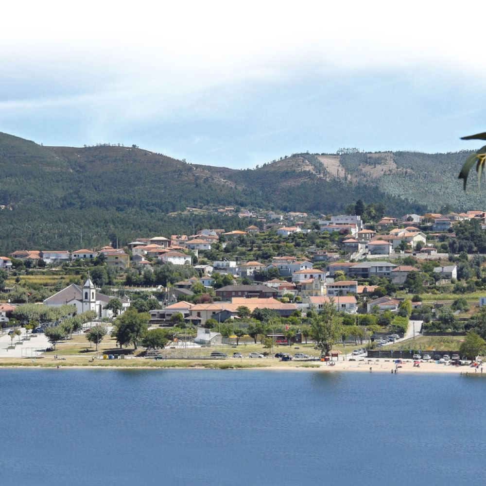 A cheerful church community gathers outdoors for a fellowship event, enjoying food and company.