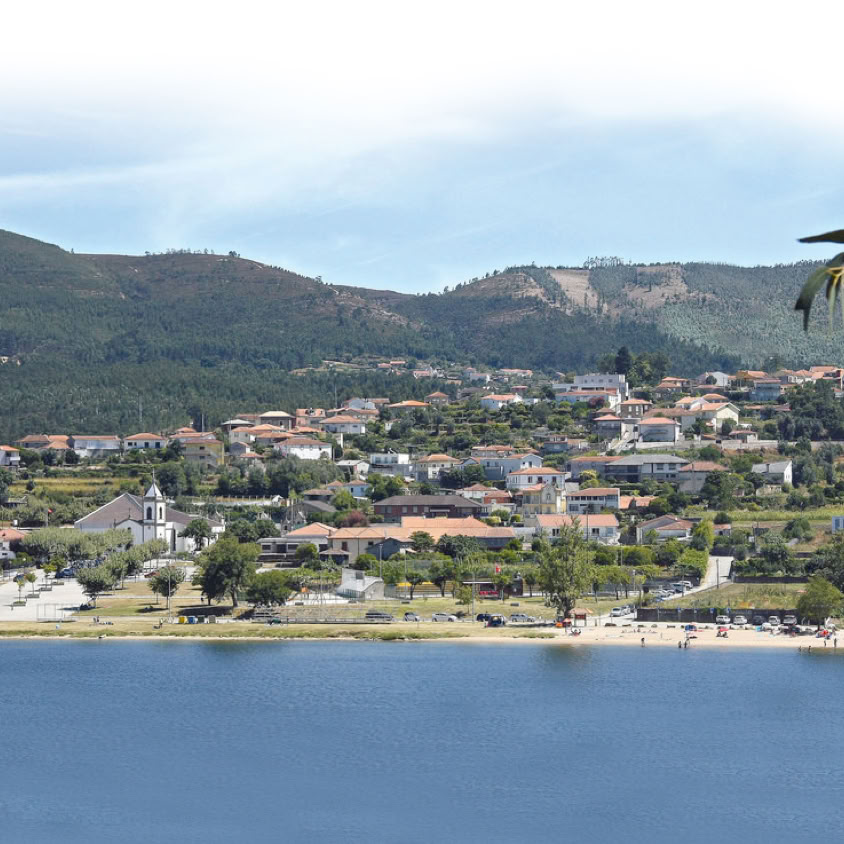 A cheerful church community gathers outdoors for a fellowship event, enjoying food and company.